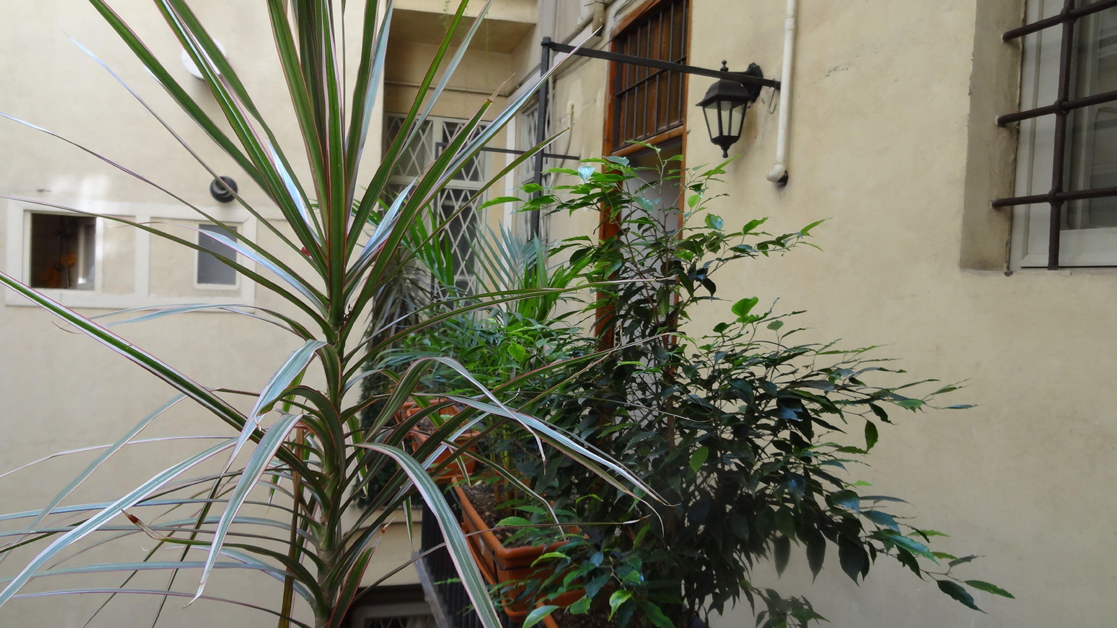 La Maison Dell'Orologio — Photos 1